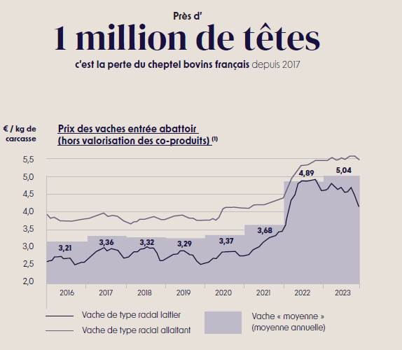 Graphique bovin 1